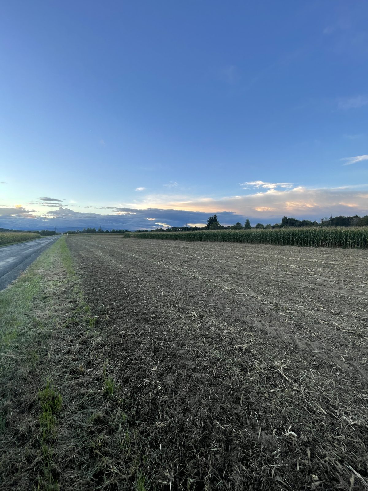 Grundstück mit Widmungspotenzial